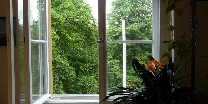 Richtig Lüften, Schimmelbildung vermeiden